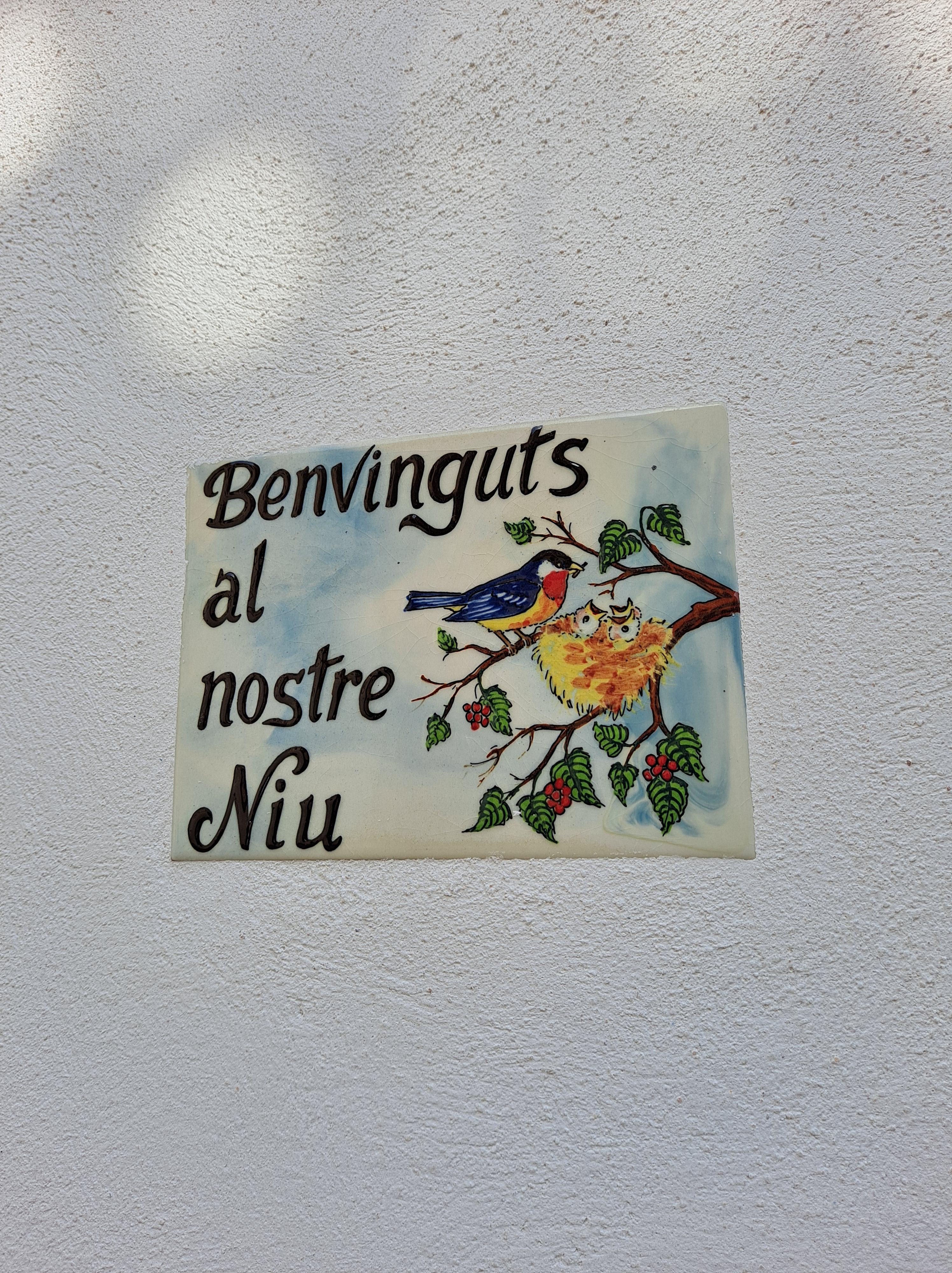 Maratón De